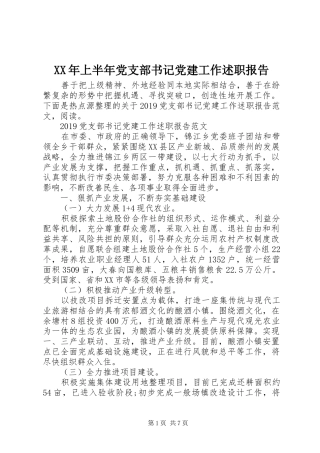 XX年上半年党支部书记党建工作述职报告