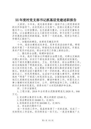 XX年度村党支部书记抓基层党建述职报告