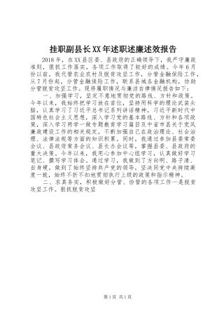 挂职副县长XX年述职述廉述效报告
