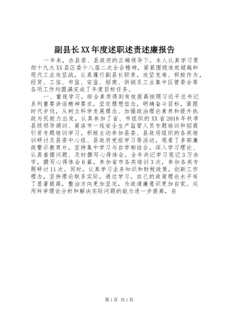 副县长XX年度述职述责述廉报告