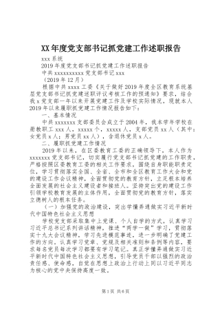 XX年度党支部书记抓党建工作述职报告