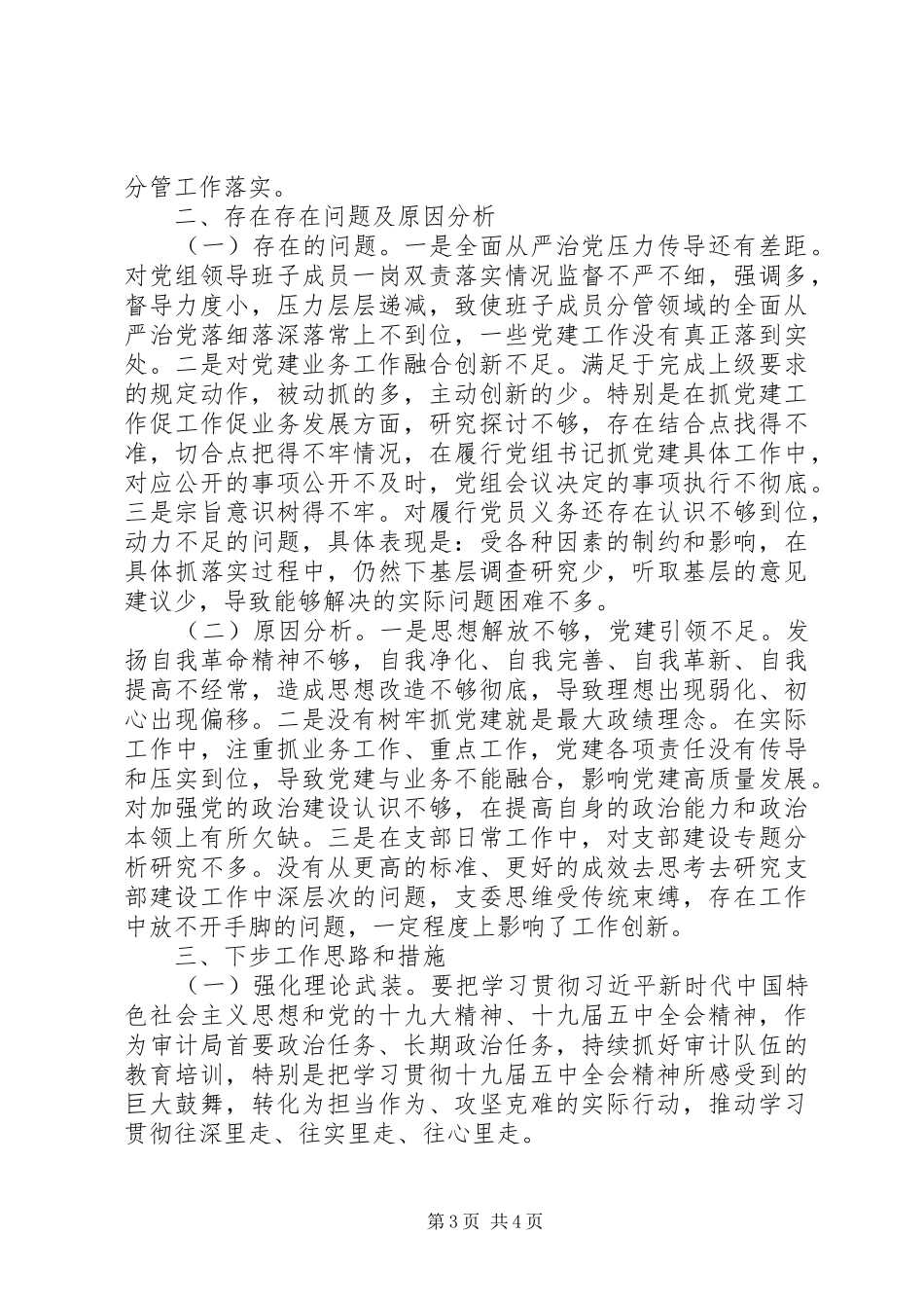 审计局局长XX年度抓基层党建工作述职报告_第3页