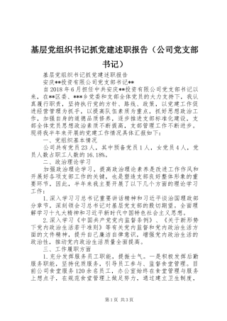 基层党组织书记抓党建述职报告（公司党支部书记）