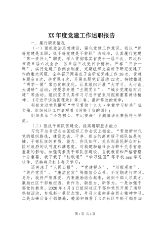 XX年度党建工作述职报告