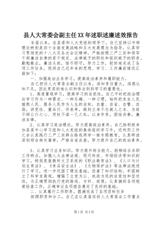 县人大常委会副主任XX年述职述廉述效报告