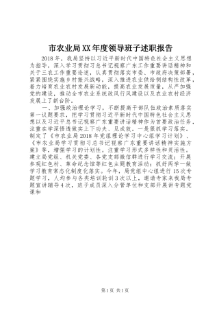 市农业局XX年度领导班子述职报告