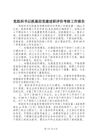 党组织书记抓基层党建述职评价考核工作报告