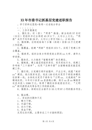 XX年市委书记抓基层党建述职报告
