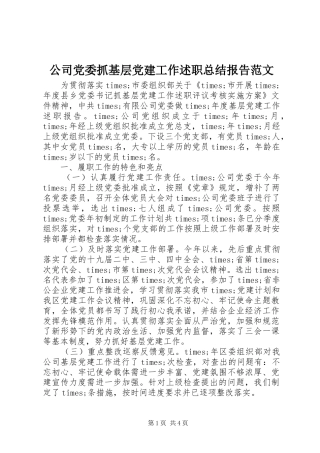 公司党委抓基层党建工作述职总结报告范文