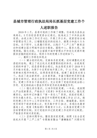县城市管理行政执法局局长抓基层党建工作个人述职报告
