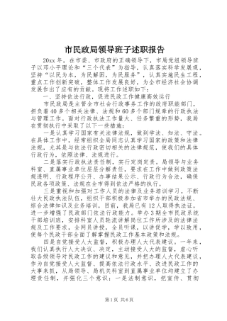 市民政局领导班子述职报告