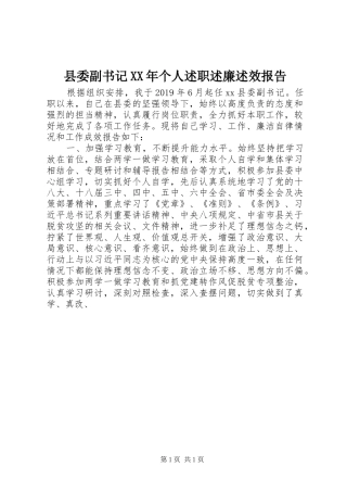 县委副书记XX年个人述职述廉述效报告