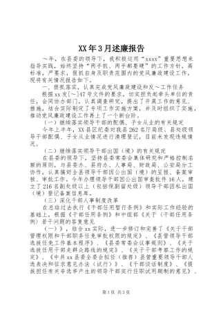 XX年3月述廉报告