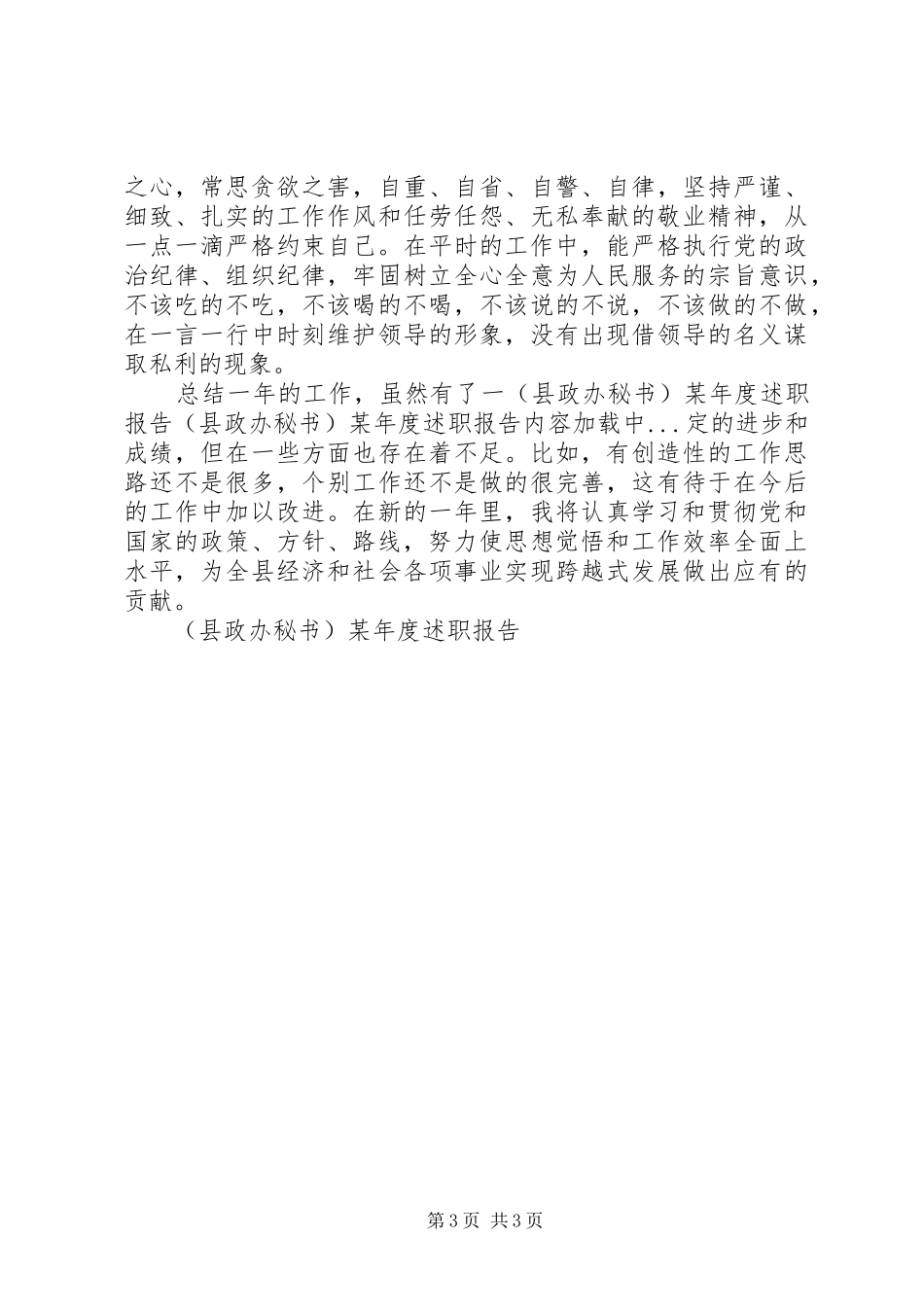 （县政办秘书）某年度述职报告_第3页