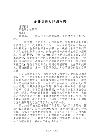 企业负责人述职报告