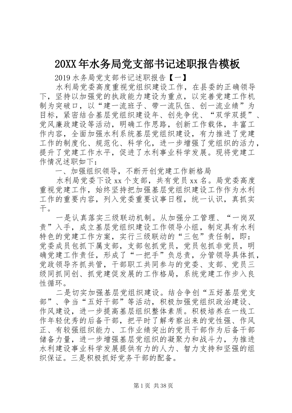 20XX年水务局党支部书记述职报告模板_第1页