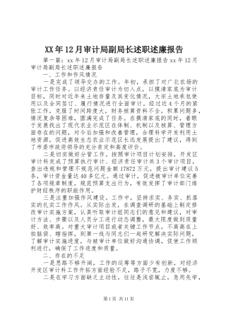 XX年12月审计局副局长述职述廉报告