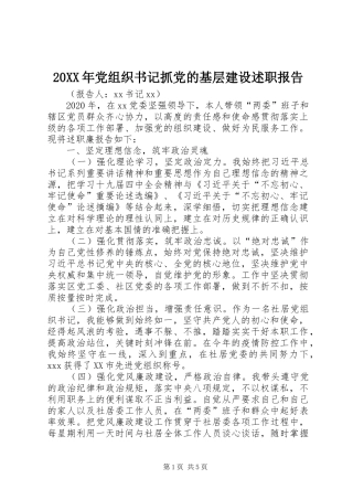 20XX年党组织书记抓党的基层建设述职报告