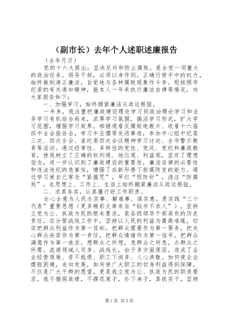 （副市长）去年个人述职述廉报告