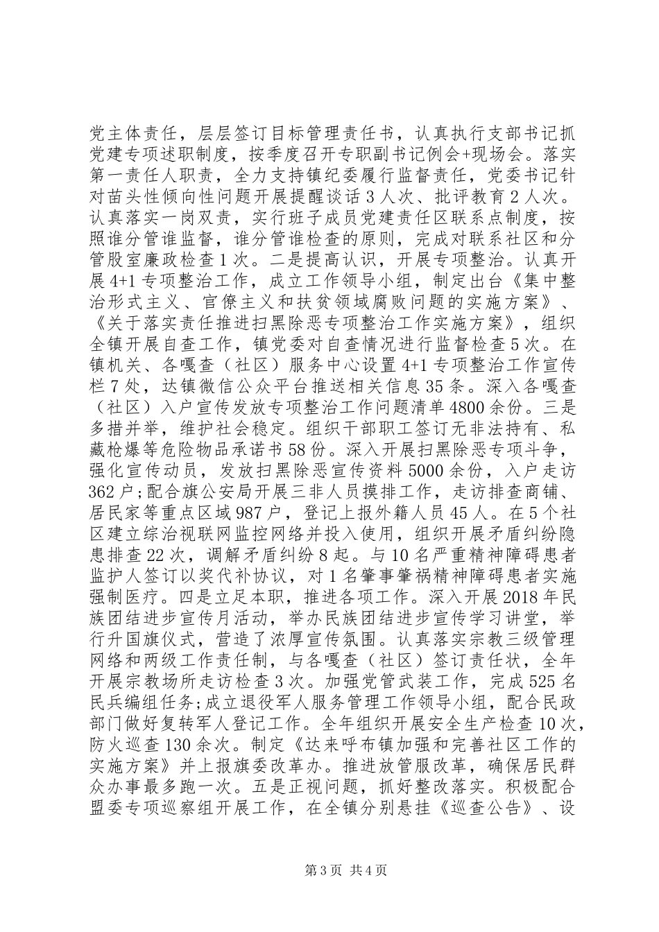 民族县的镇党委领导班子XX年述职报告_第3页