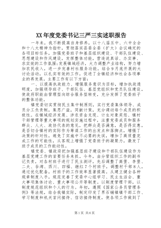 XX年度党委书记三严三实述职报告