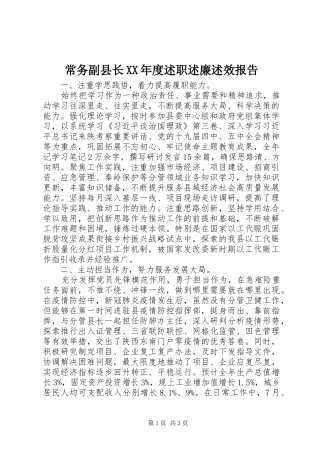 常务副县长XX年度述职述廉述效报告