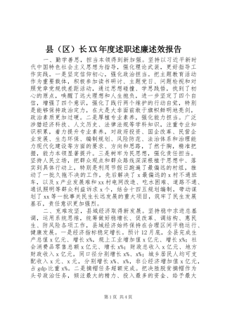 县（区）长XX年度述职述廉述效报告