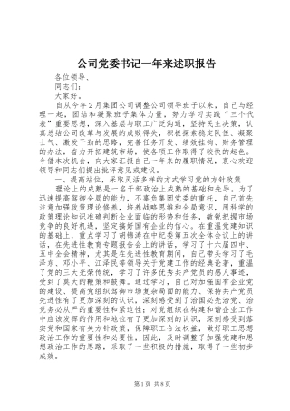 公司党委书记一年来述职报告