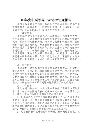 XX年度中层领导干部述职述廉报告