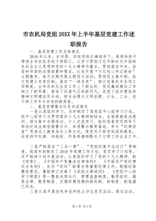 市农机局党组20XX年上半年基层党建工作述职报告