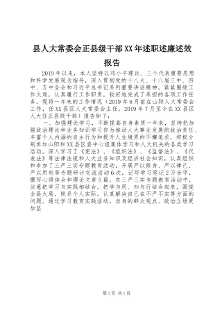 县人大常委会正县级干部XX年述职述廉述效报告