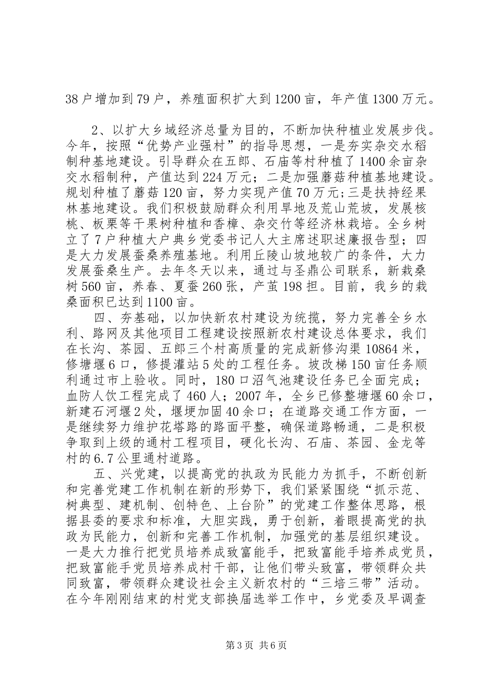 乡党委书记人大主席述职述廉报告_第3页