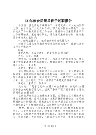 XX年粮食局领导班子述职报告