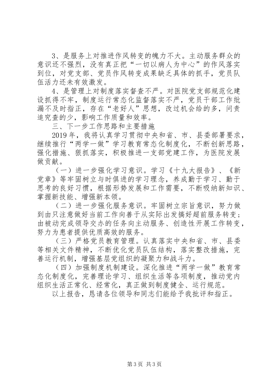 XX年度支部书记党建工作述职报告_第3页