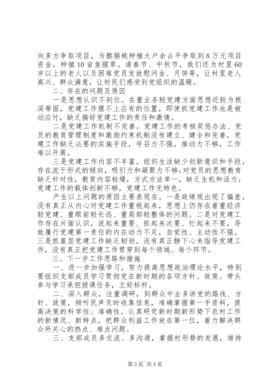 村支部书记党述职报告_第3页