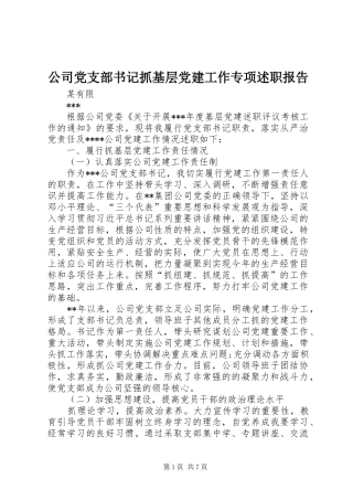 公司党支部书记抓基层党建工作专项述职报告