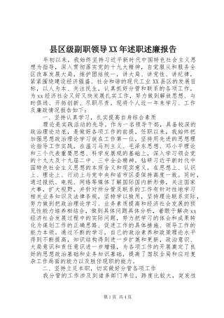 县区级副职领导XX年述职述廉报告