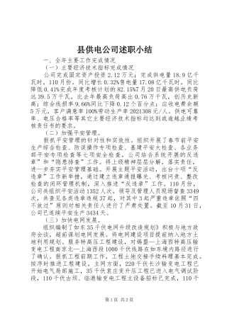 县供电公司述职小结