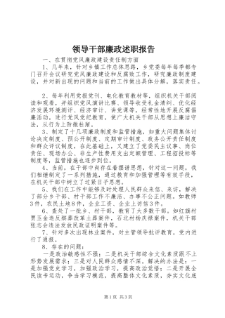 领导干部廉政述职报告 (13)