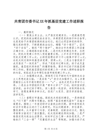 共青团市委书记XX年抓基层党建工作述职报告