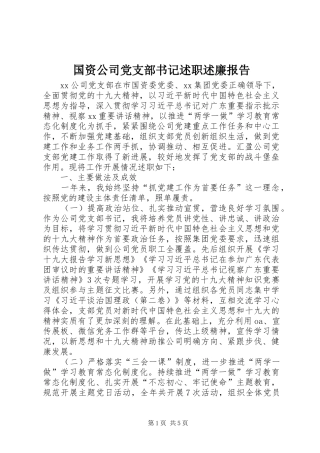 国资公司党支部书记述职述廉报告