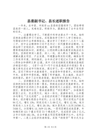 县委副书记、县长述职报告