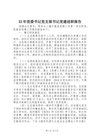 XX年党委书记党支部书记党建述职报告