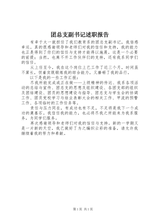 团总支副书记述职报告