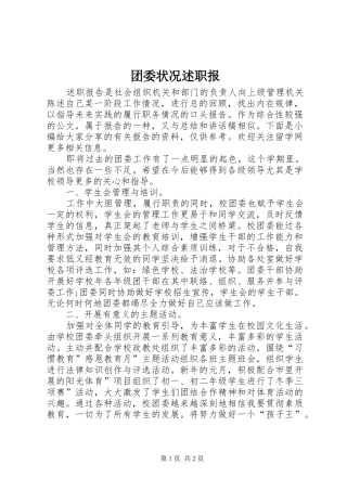 团委状况述职报