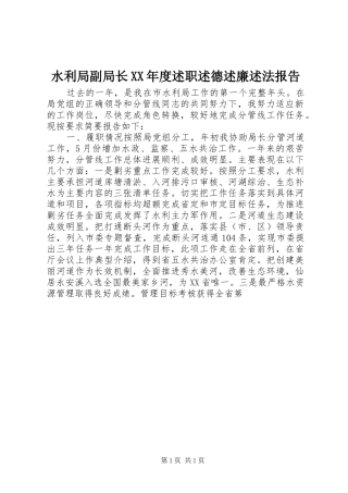 水利局副局长XX年度述职述德述廉述法报告