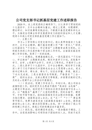 公司党支部书记抓基层党建工作述职报告