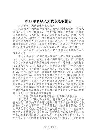 20XX年乡级人大代表述职报告
