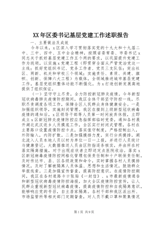 XX年区委书记基层党建工作述职报告