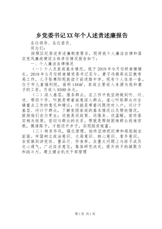 乡党委书记XX年个人述责述廉报告